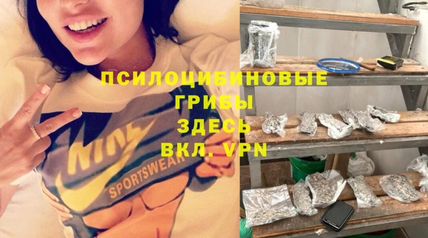 молекула духа Майский
