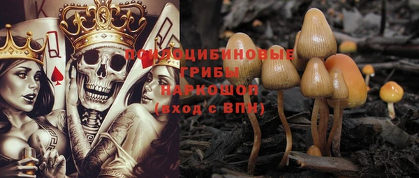 мдма Краснослободск