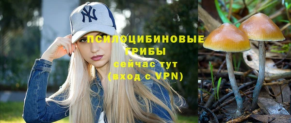 мдма Краснослободск