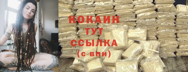 молекула духа Майский
