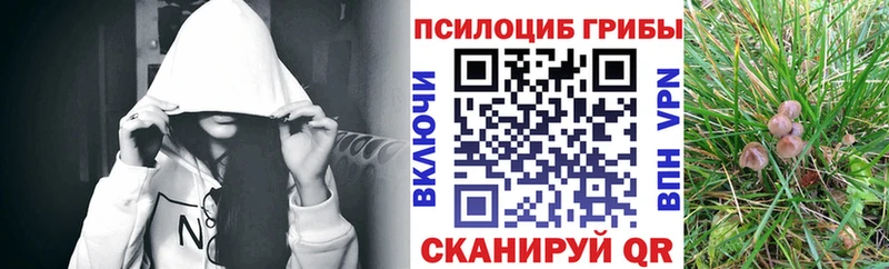 Псилоцибиновые грибы MAGIC MUSHROOMS  Купить закладки  Звенигород 